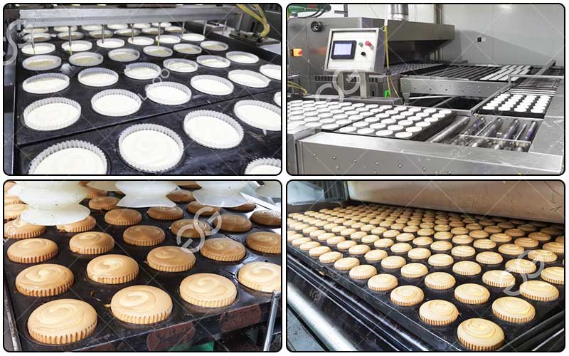Cake Processing Machinery