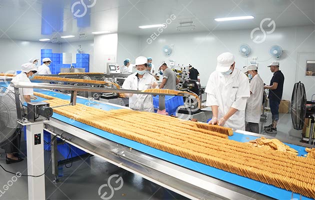 Biscuit Processing Line in Algeria
