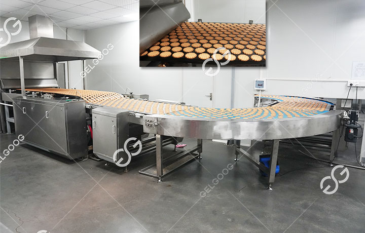 Forno de túnel para biscoitos sem glúten