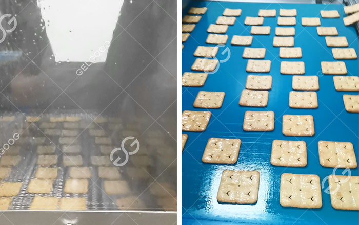 Industrial Oil Spraying Machine for Biscuits