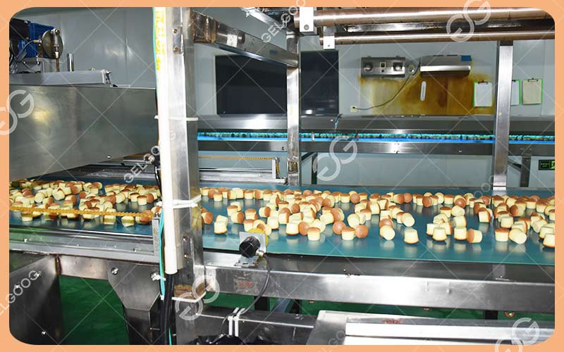 Cake Processing Line